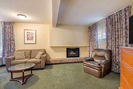Suite-1 King Bed, Non-Smoking, Fireplace, Flat Screen Television, Sitting Area, Microwave And Refrig