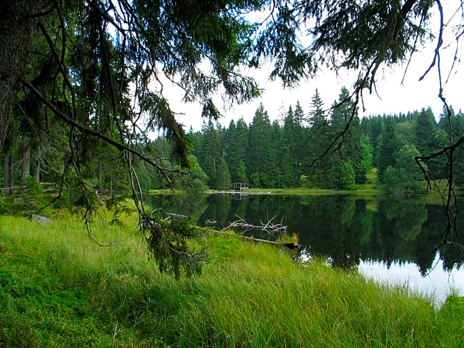 Hotel Srní depandance - Šumava