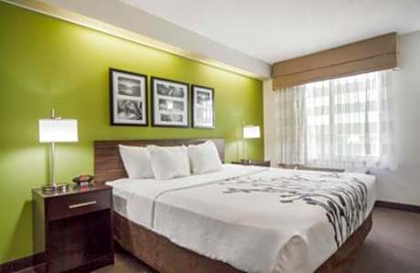 1 King Bed, Suite, Nonsmoking