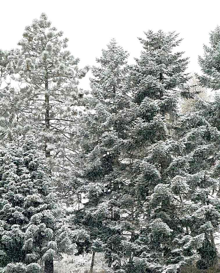 Athol Country Bed & Breakfast