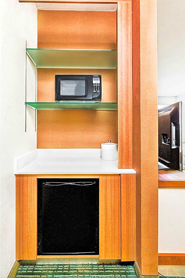 SpringHill Suites by Marriott Anaheim Maingate
