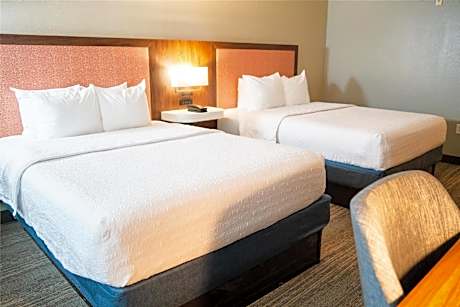 2 Qns Mobility Access Roll In Shower Nosmok