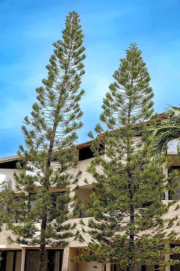 Tropicana Hotel (SHA Extra Plus)