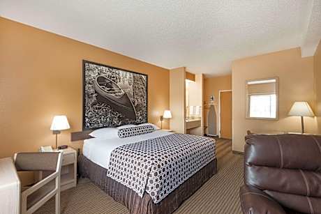 1 King Bed Deluxe Suite Non-Smoking