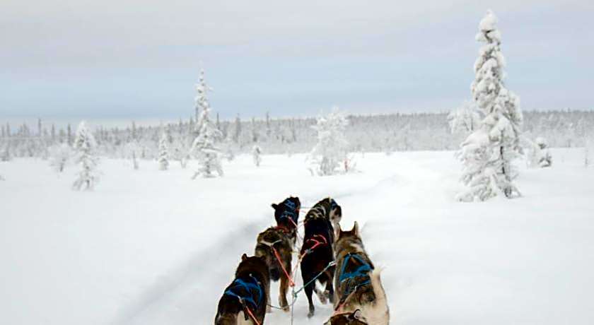 Abisko Mountain Lodge