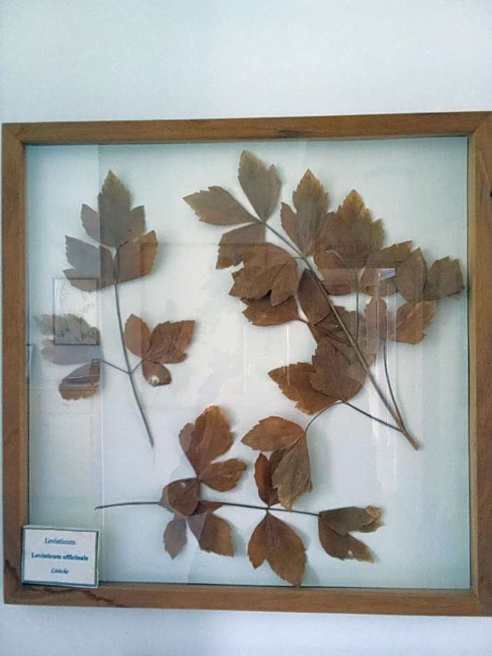 Hôtel Restaurant Les Touristes