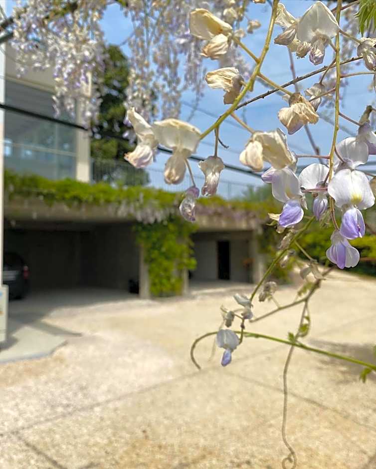 ROSETO HOLIDAYS AZZURRO