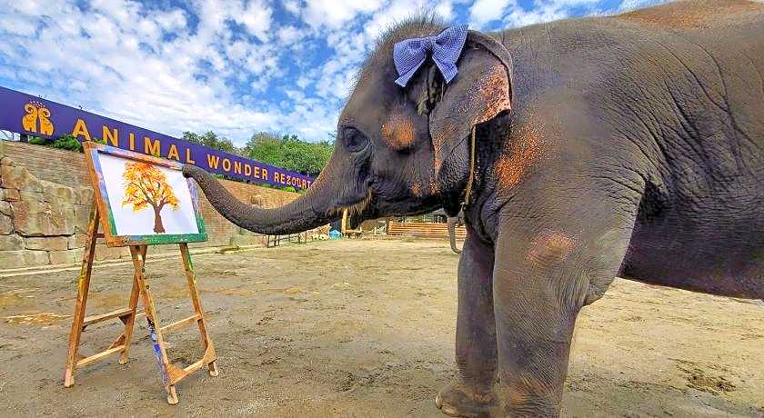 Business Hotel Goi Hills