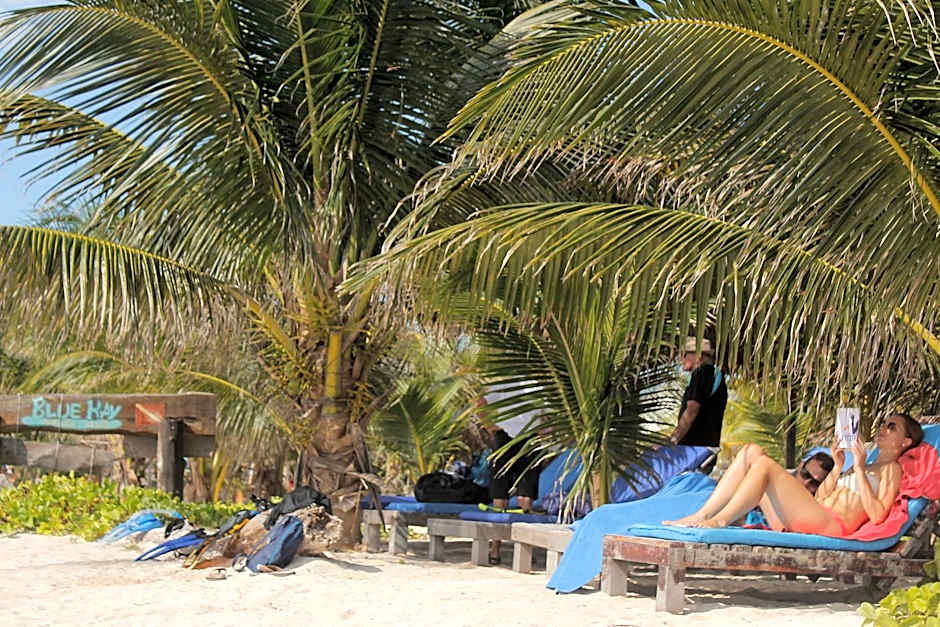 Eco Cabañas Bluekay