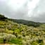 EPHESUS RETREAT