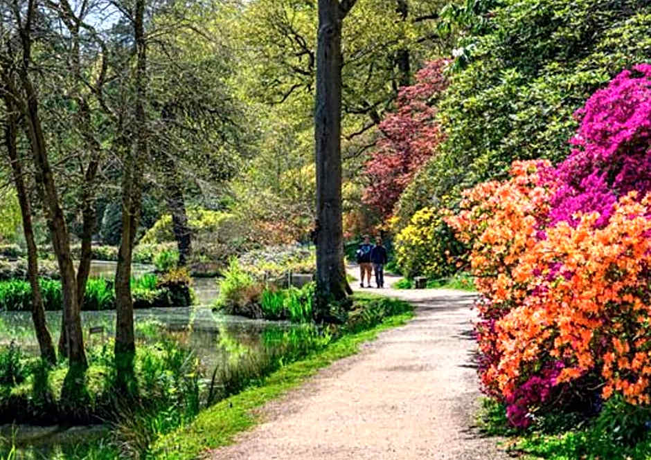 Holiday Inn London Gatwick - Worth By IHG