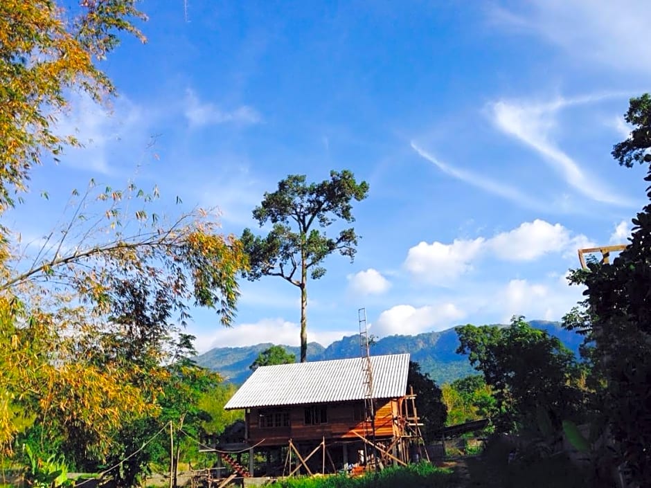 Chiang Dao Hut