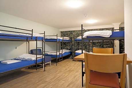 Bed in 8-Bed Mixed Dormitory Room - No Window