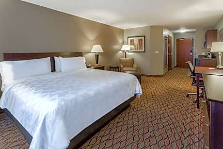 1 King Standard Walk-In Shower