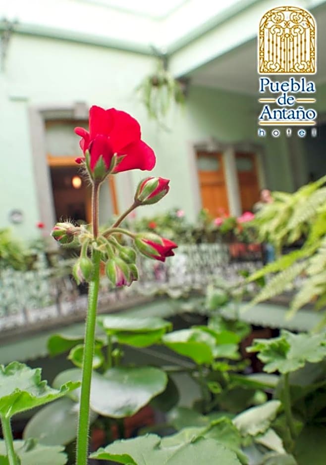 Hotel Puebla De Antano