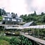 Amazing Grace Lodge