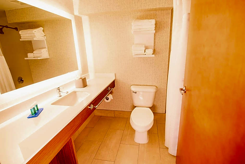 Holiday Inn Express Atlanta-Stone Mountain By IHG