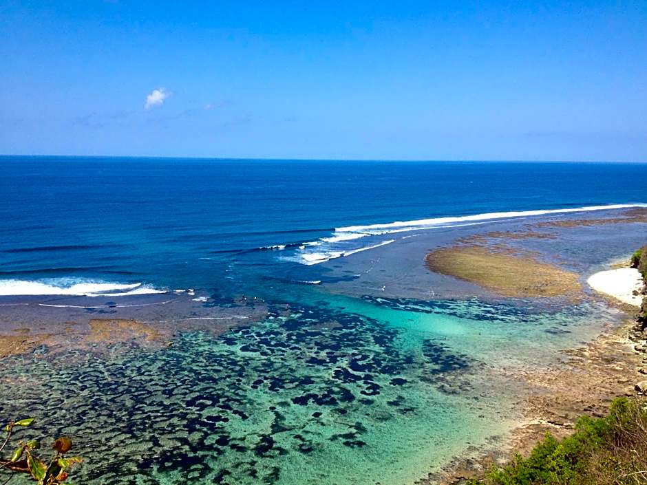 Rapture Surfcamps Green Bowl
