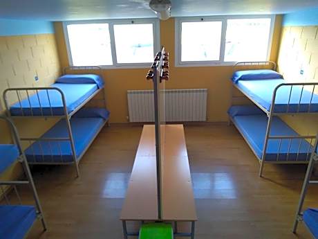 Bed in 8-Bed Mixed Dormitory Room