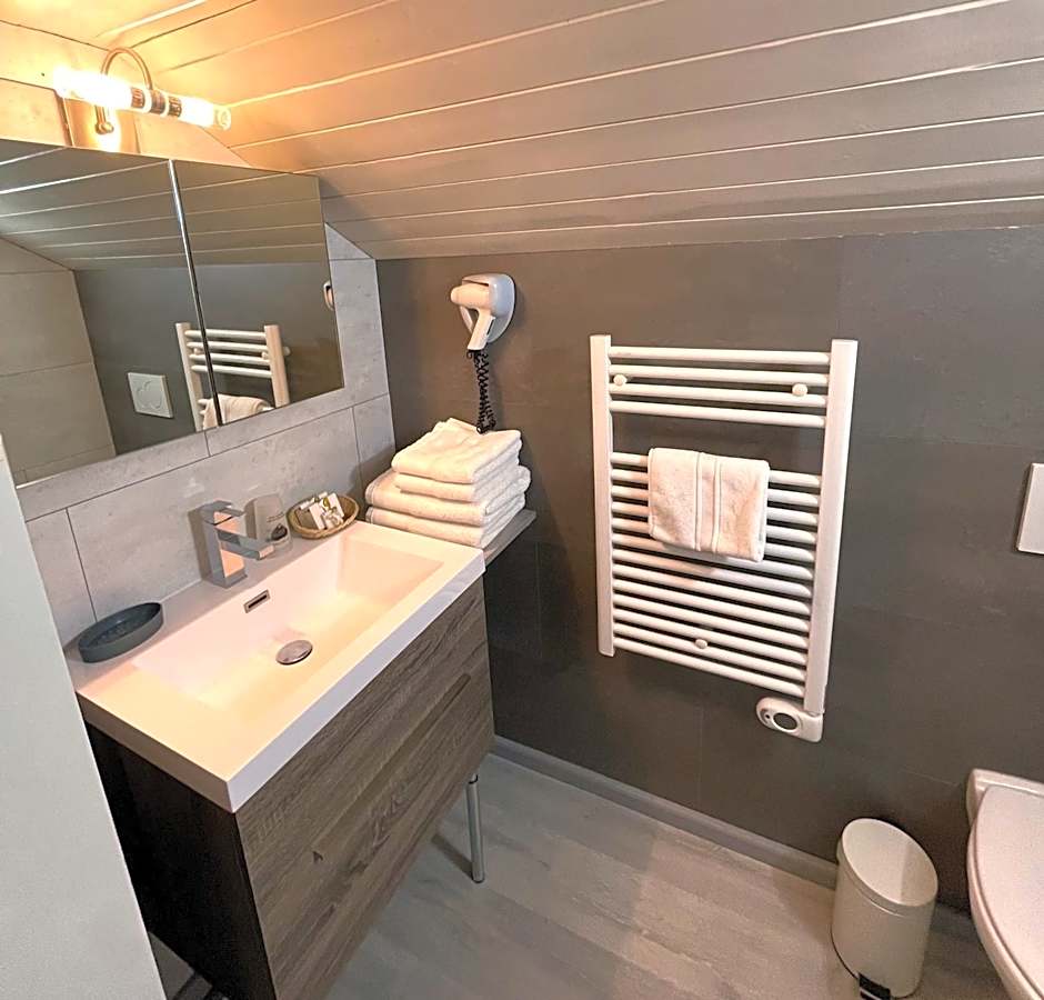 Logis Hotel & Spa Beau-Site