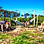 Surfana Vlieland Surf Host en Bed & Breakfast