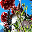Hotel Pörnbacher