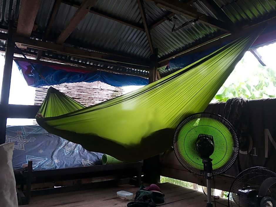 sharkbunkbed siargao