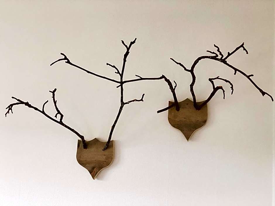 Hotell Åre Fjällsätra