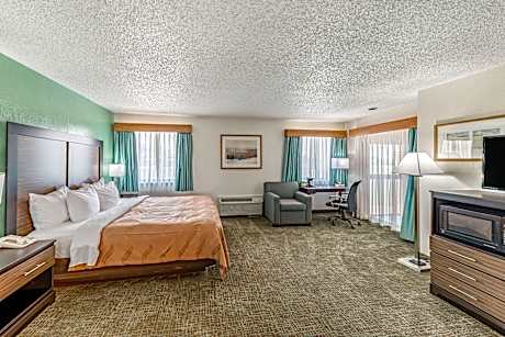 1 King Bed, Suite, Nonsmoking