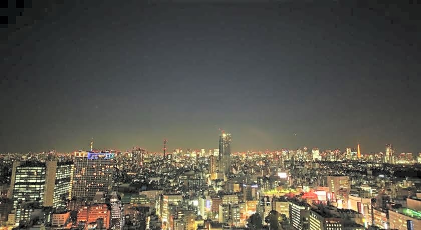 Hotel Gracery Shinjuku
