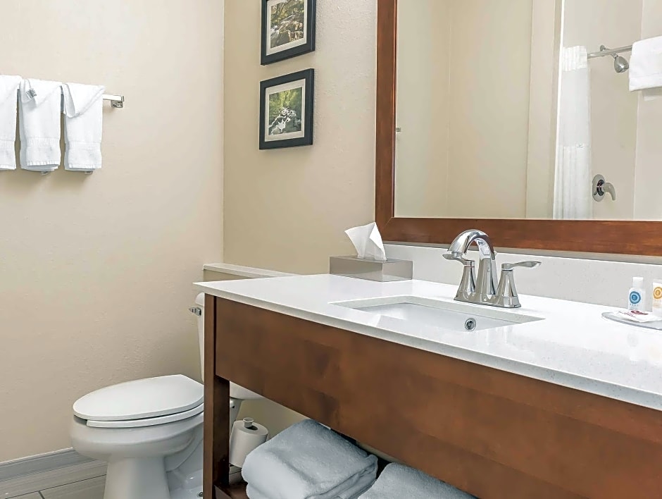 Comfort Inn Indianapolis North - Carmel