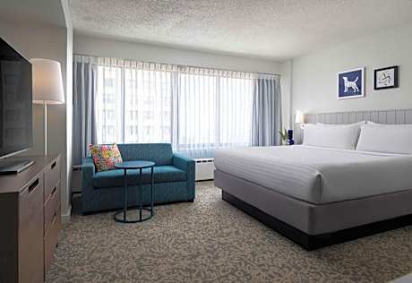 Mobility Accessible Studio King Suite with Transfer Shower