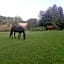 Moaps Farm B&B support small business, welcome, check in from 5 pm