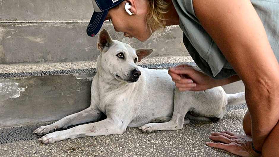 Sunset Springs Beach Retreat