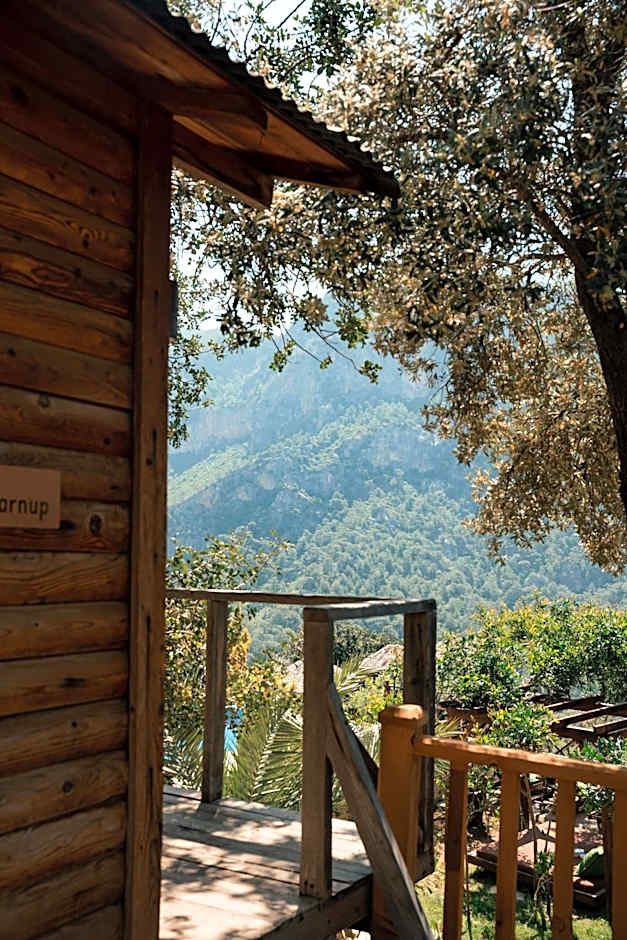Olive Garden Kabak