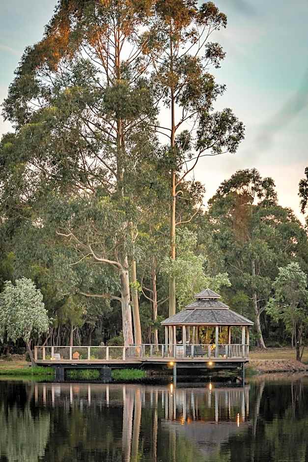 Forest Rise Chalets and Lodge