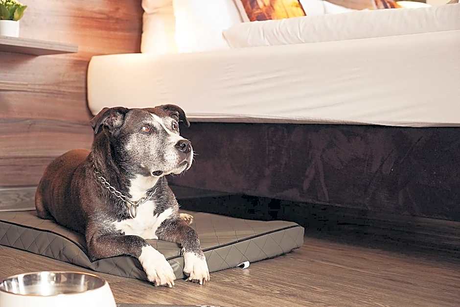 Hotel Mein Bergblick