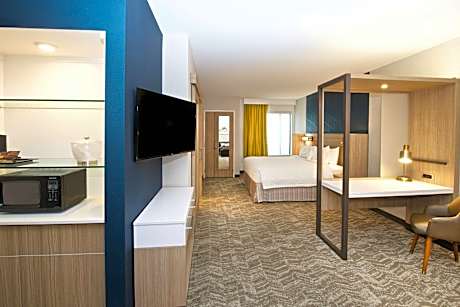 King Suite with Bathtub and Trundle Sofa - Mobility Access/Hearing Accessible