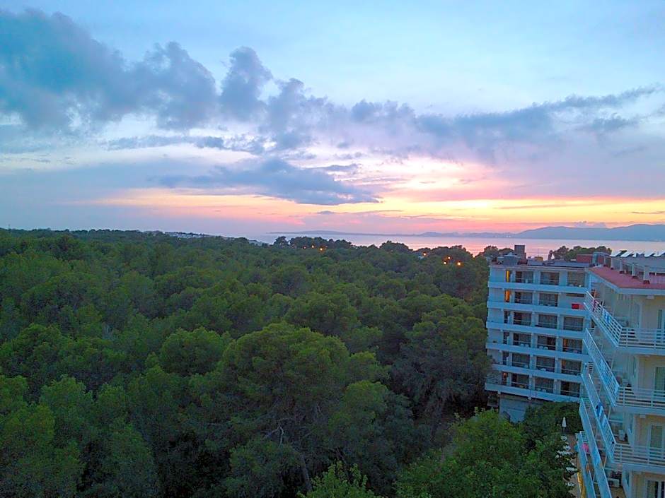 Hotel Manaus