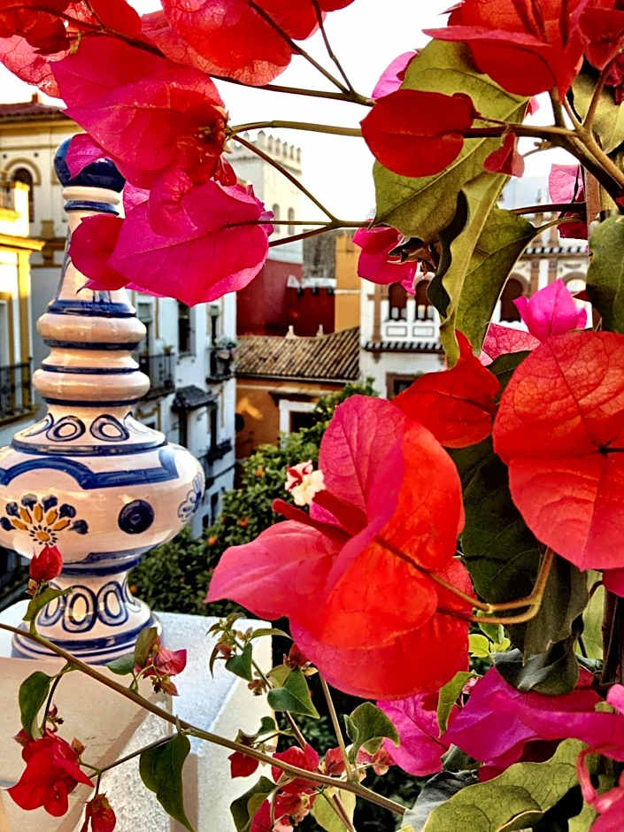 Hotel Boutique Elvira Plaza