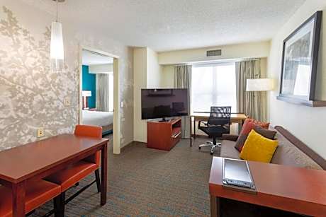 One-Bedroom Queen Suite with Sofa Bed