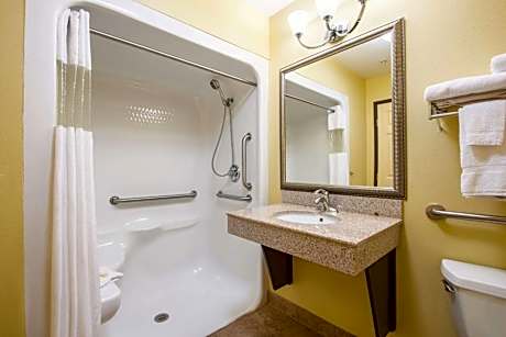 King Room with Roll-In Shower - Accessible/Non-Smoking