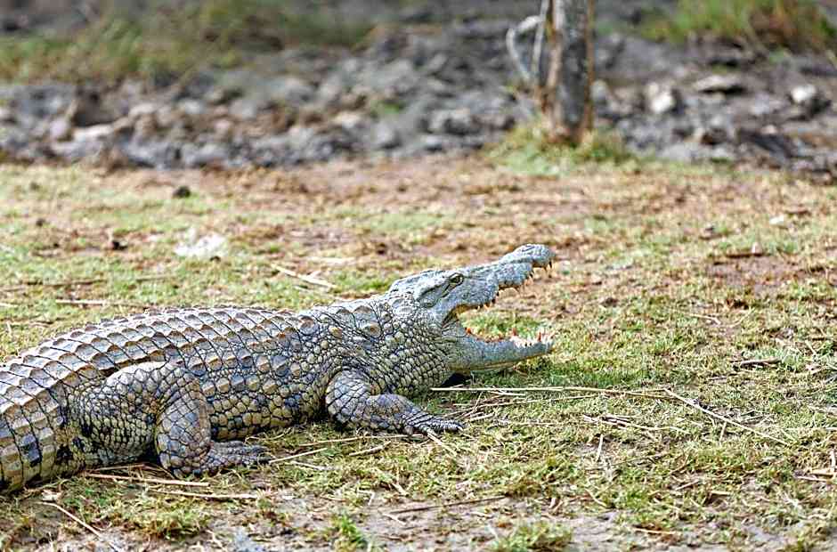 First Group Lake View Cabanas