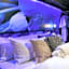 Blue Tulip - 4mins from Mactan Airport