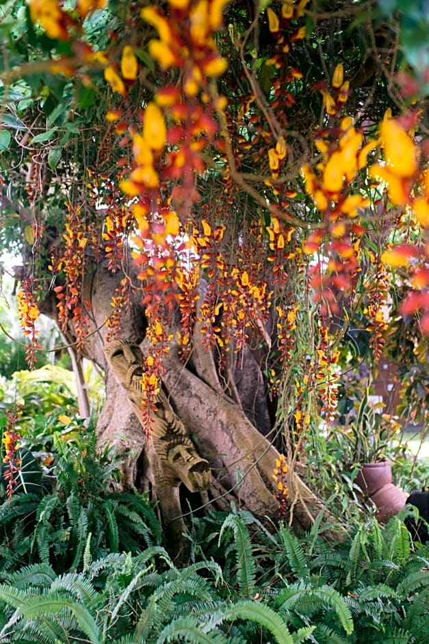 Tree Lodge Mauritius