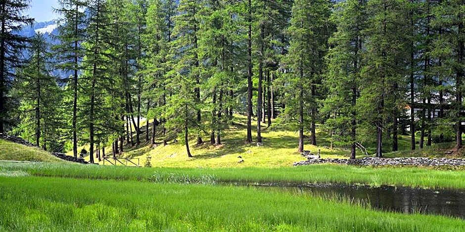 Albergo Casa Alpina San Luigi