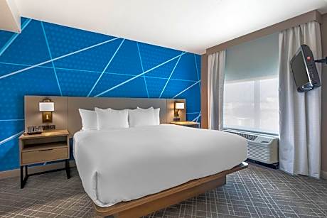1 King Bed Suite Nonsmoking