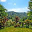 Pension Asanebou