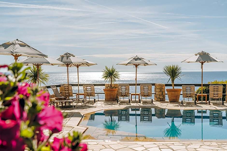 Il Pellicano