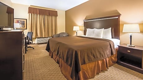 1 King Bed, Nonsmoking, View